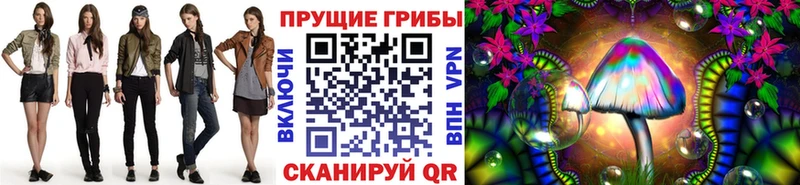 Псилоцибиновые грибы Psilocybe  ОМГ ОМГ   Буйнакск 