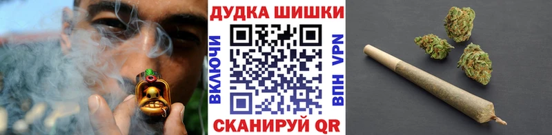 Шишки марихуана Amnesia как найти наркотики Буйнакск